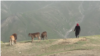 Tajikistan - remote villages in Yaghnob Gorge, located some 3,000 meters above sea level - screen grab