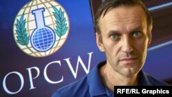 Эксперты надеются, что в результате разбирательств на международном уровне обстоятельства покушения на Навального станут предельно ясными