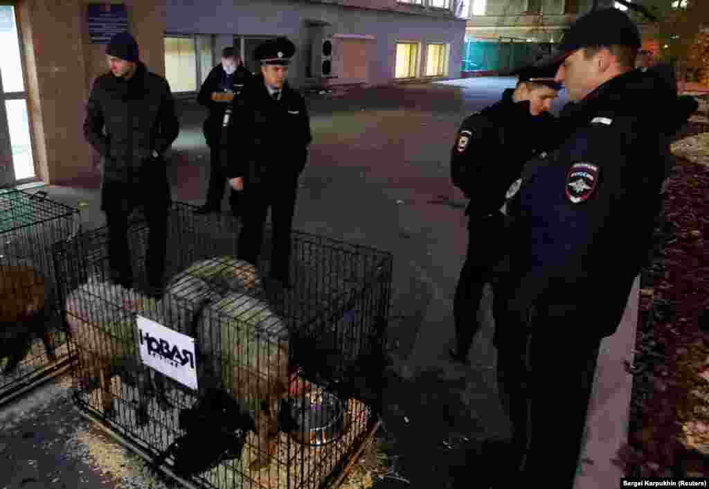 A sheep&#39;s head was also found near the office with a note threatening all reporters at the newspaper.