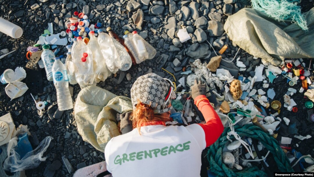 Реферат Greenpeace Реферат Greenpeace