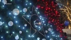 В Севастополе зажгли новогоднюю елку (видео)