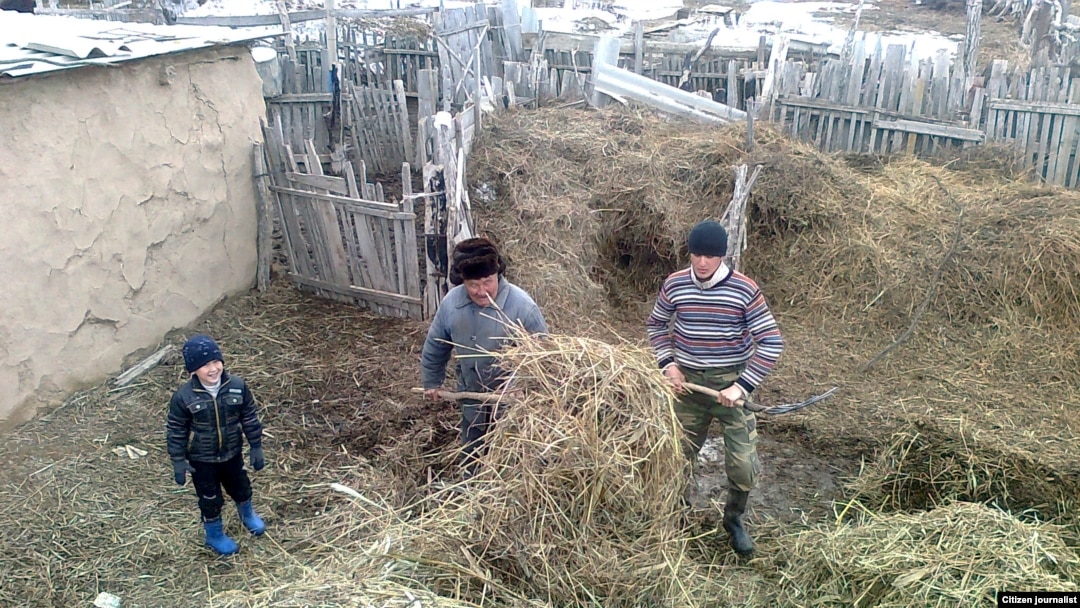 Анамның сексуалды оқиғаларын онлайн көріңіз