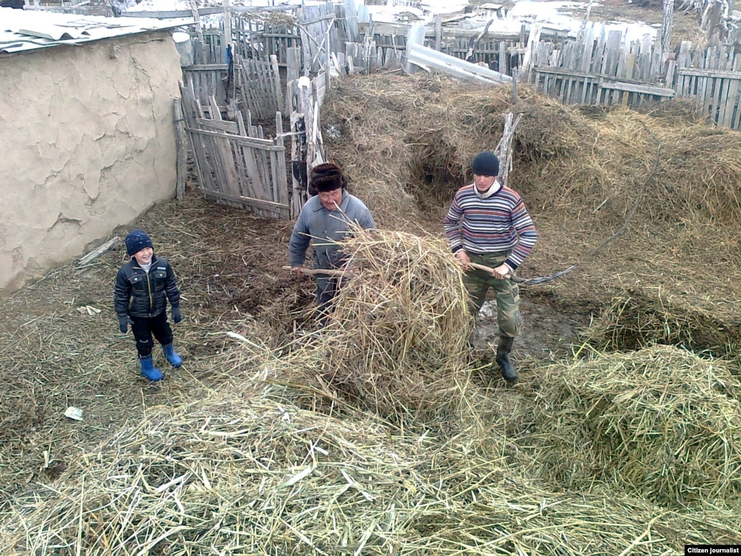 Некеде жыныстық қатынастың жиілігі
