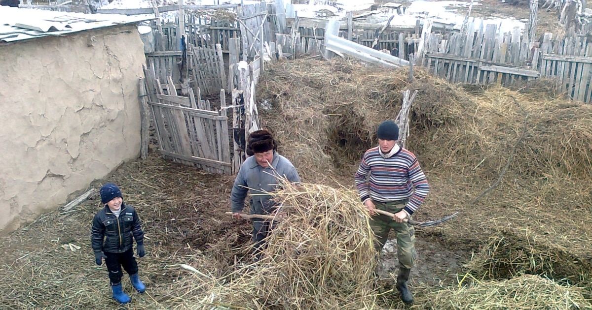 Грузия порно галереяларын қараңыз