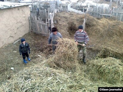 Шығыңқы емізіктері бар кішкентай сиськи