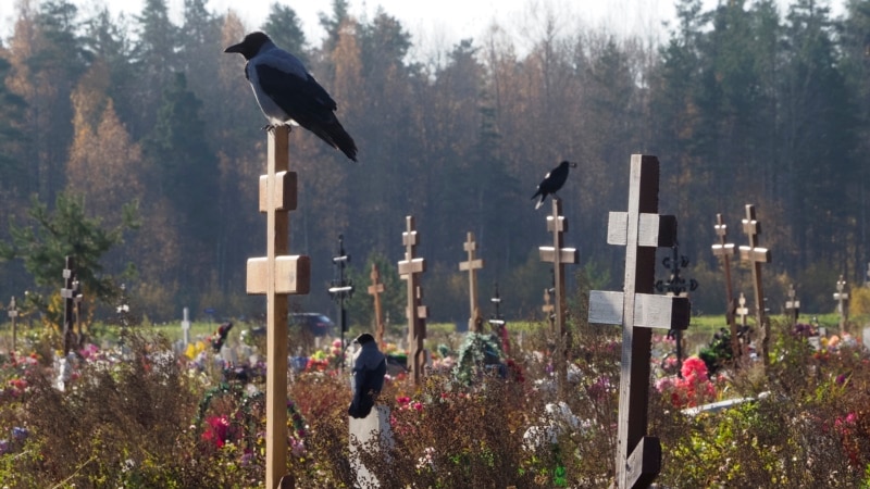«Удобно собрать в одном месте». Москва создает одно из крупнейших кладбищ в мире