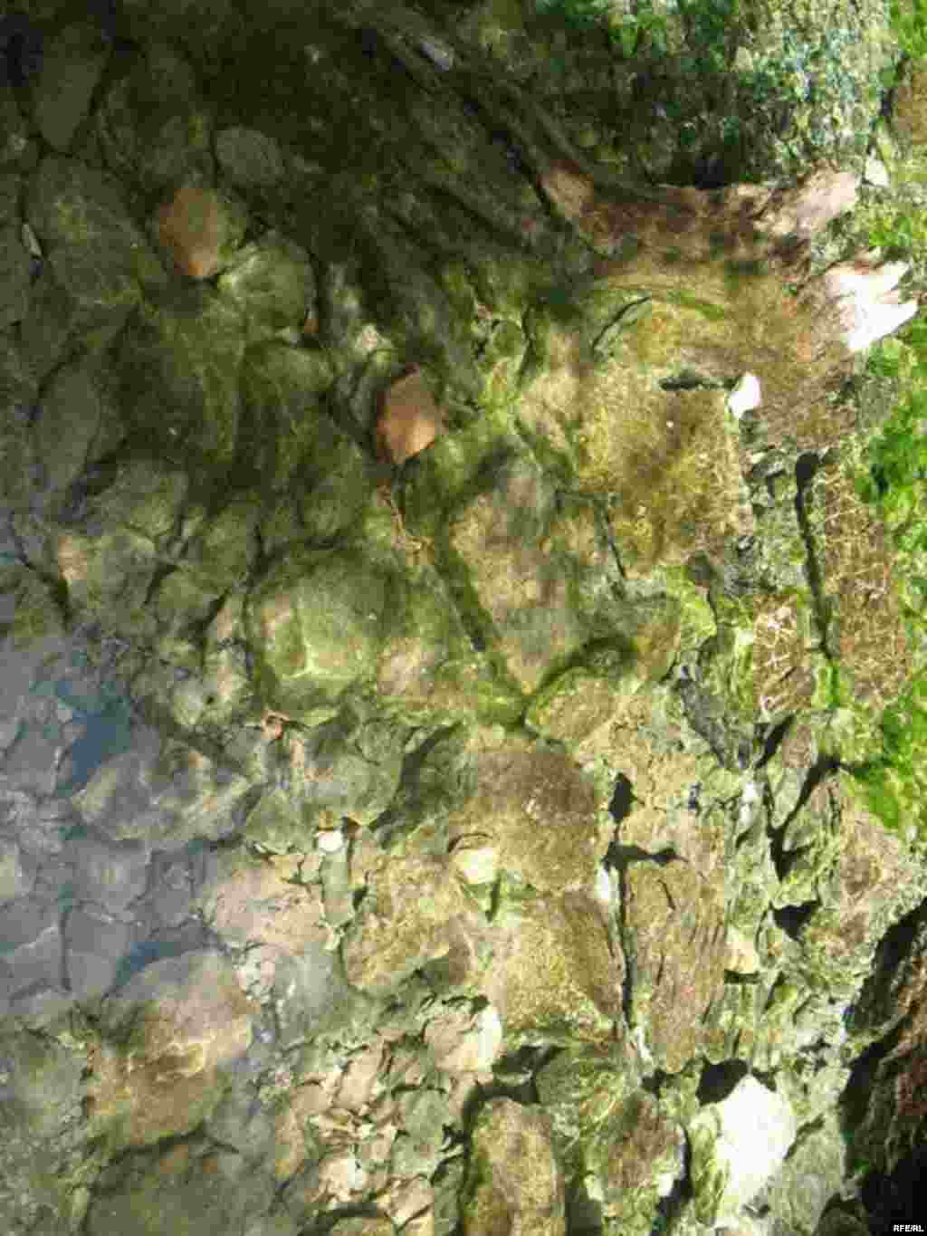 Зиёрати Чилучорчашма #26