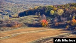 Нохчийчоь-Нохчийчура бахархошна лазамечух ду латтанца доьзна хаттар. 