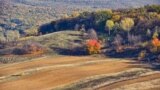 Moldova - agriculture, land, forest