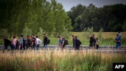 مهاجرین با رفتن به راه های دشوار گذر تلاش می کنند تا خود را به کشور های اروپایی برسانند. 
