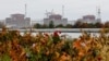 Zaporizhzhya is the largest nuclear power plant in Europe. (file photo)