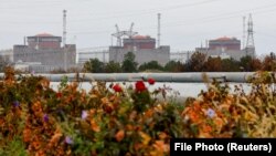 Zaporizhzhya is the largest nuclear power plant in Europe. (file photo)