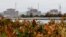 Zaporizhzhya is the largest nuclear power plant in Europe. (file photo)