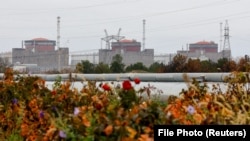 A view of the Zaporizhzhya nuclear power plant in November 2022