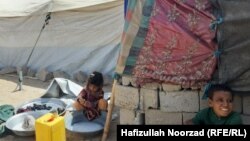کودکان خانواده های فقیر در ولایت فراه مشکلات زیادی را هم از نگاه نداشتن مواد غذایی و هم از عدم دسترسی به خدمات صحی متحمل شده اند