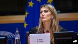 Колишня віцепрезидентка Європарламенту Єва Кайлі
