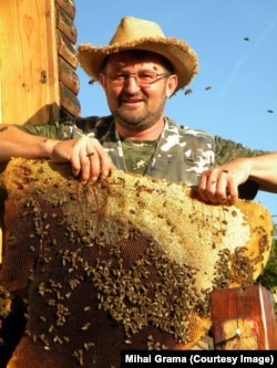 Mihai Grama méhész mézét kilogrammonként több mint 150 lejes áron árulják, mivel előállításának módja egyedülálló