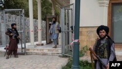 ارشیف: د طالبانو وسله وال غړي