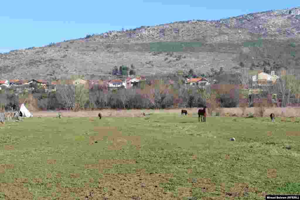 Na ranču &quot;Gaucho&quot;, Tihomir Tiho Sušac uzgaja primjerke životinja koje su bile značajne kaubojima za preživljavanje. Nazvao ih je uglavnom meksičkim imenima. Tu su, među ostalim, i kobila Sara, magarac Poncho, koza Conchita, pas El Toro, mačak Gringo. &nbsp;