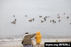 Дітей вивозять на «лікування» в окупований Крим