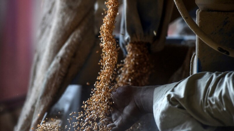 Cijene hrane u padu, navodi UN agencija