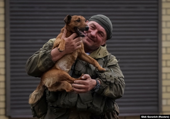 Украинский военный с собакой. Харьковская область, сентябрь 2022 года