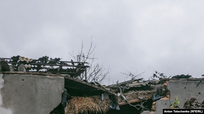 Снаряды в домах. Разбитое Благодатное в Херсонской области (фотогалерея)