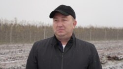 Războiul și proximitatea UE schimbă economia și geografia pentru agricultura moldoveană  