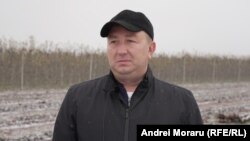 Ion Tulei, crescător de fructe la Olănești, Ștefan Vodă, vorbind Europei Libere în timpul realizării unui reportaj, în noiembrie 2022.