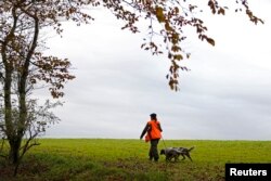 Francuska ima najviše lovaca u Evropi. Lovac sa psima na sjeveru Francuske, novembar 2013.
