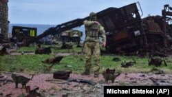 Український військовий біля знищеної російської техніки на острові Зміїний, 18 грудня 2022 року