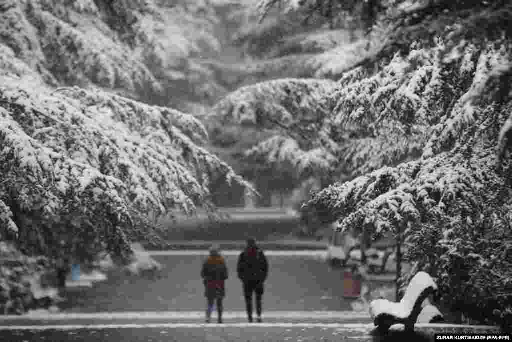 A view of snow-covered trees at a park outside Tbilisi on December 6.&nbsp;