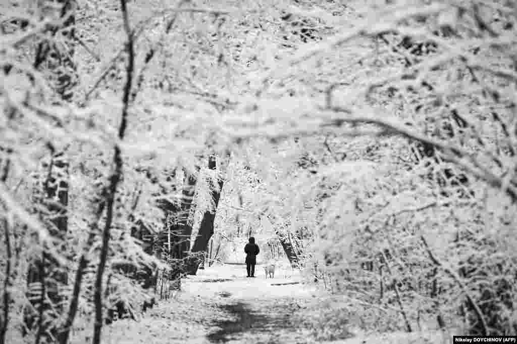 A man walks his dog following a snowfall in a park in Sofia on December 13.