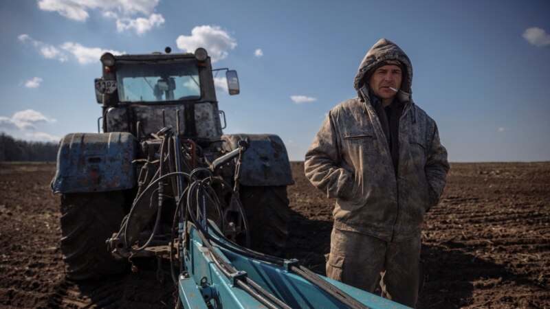 Turska i Britanija obećale pomoć u izvozu žita iz Ukrajine