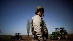 Munca cu pistolul la tâmplă | Cum lucrează fermierii în mijlocul războiului din Ucraina