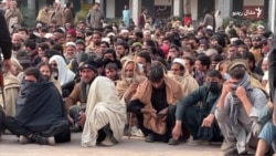 چارواکي وايي د ممکنه پوځي عملياتو له امله له تيرا ۶۰ سلنه خلک وتلي دي