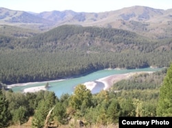 Нижняя Катунь в Горном Алтае, Россия