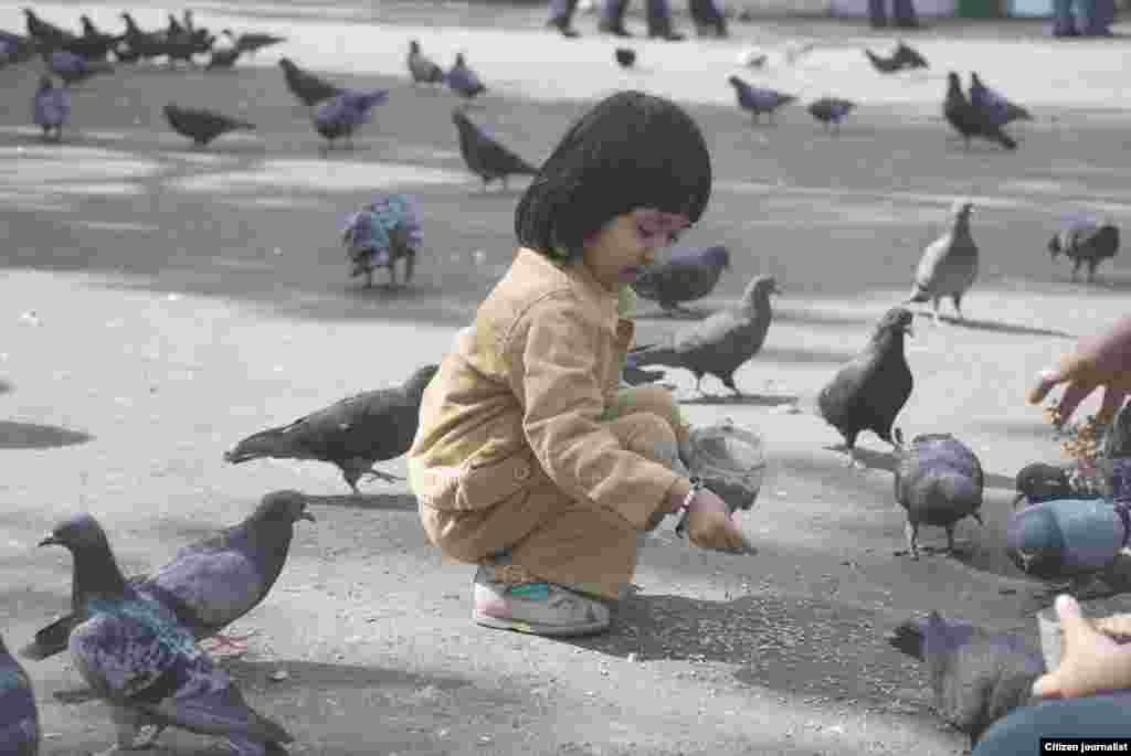 Девочка Назерке кормит голубей. Прислал Амантай Билялов.