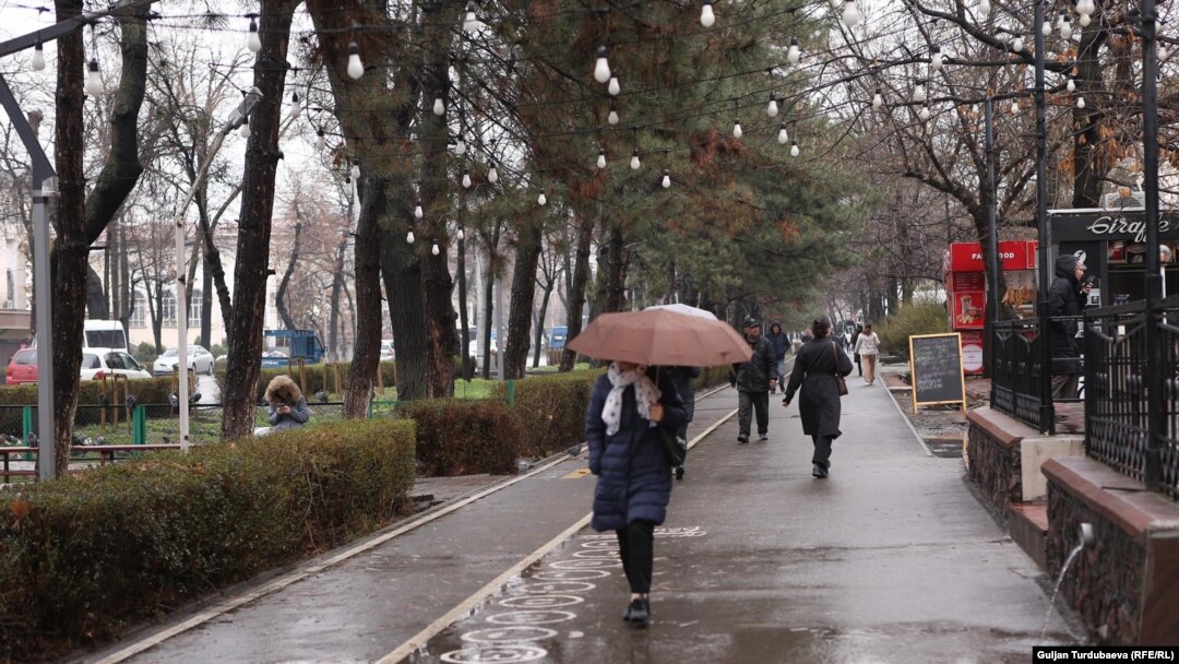 Иллюстрациялык сүрөт.