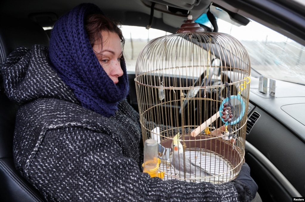 Жінка тримає клітку з птахом, очікуючи в машині на блокпосту 17 березня 2022 року