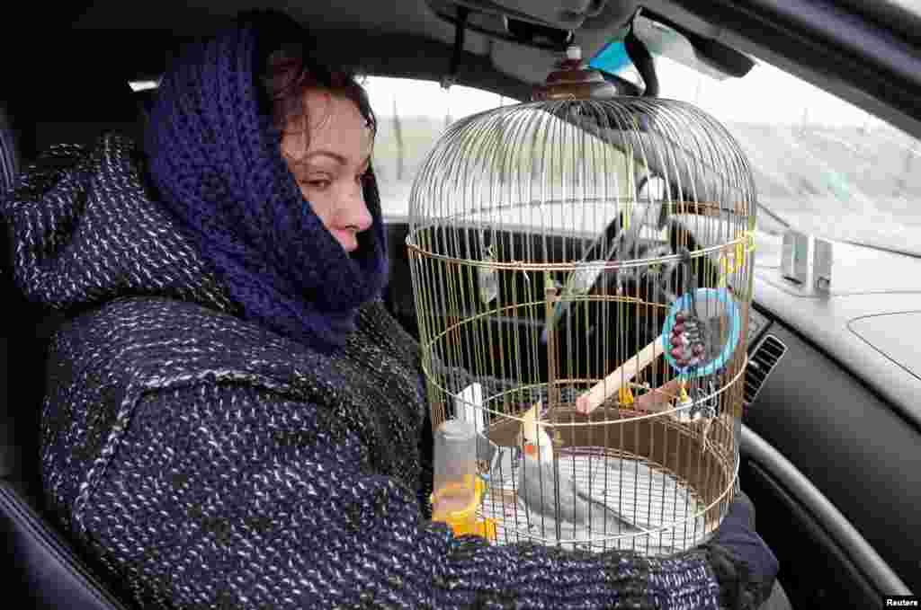 Женщина держит клетку с птицей, ожидая в машине на блокпосте. 17 марта 2022 года.