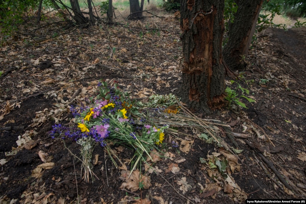 Lulet e egra të sapokëputura e të hedhura pranë një peme të dëmtuar nga copat e predhave.