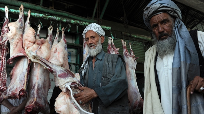  افغانستان کې د کانګو له وېرې د غوښې د خوراک کمیدل؛ ډاکټران: پخه شوې غوښه کانګو نه لېږدوي 