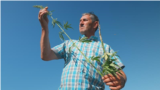 Moldova, Serghei Grusca, vice-president of the Association of growers and processors of industrial hemp in the field