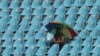 AKISTAN CRICKET -- A spectator watches the second day of the third cricket test match between Pakistan and Australia at the Gaddafi Cricket Stadium in Lahore, ?Pakistan, 22 March 2022. 