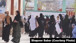 در گزارش سالانه وزارت خارجه امریکا از عملکرد طالبان در خصوص ممنوعیت زنان و دختران از روند تحصیل و کار انتقاد شده است