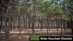 بوستان چیتگر، ده سال پیش
