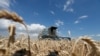 Bujqit maqedonas kërkojnë rregullimin e çmimit të grurit