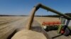 A combine harvester loads a truck with barley in a field near the village of Zhovtneve, Ukraine.