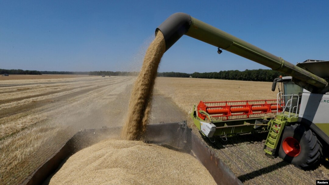 A combine harvester loads a truck with barley in a field near the village of Zhovtneve, Ukraine.
